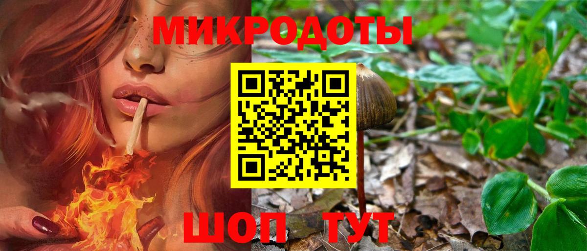 Электрогорск  Псилоцибиновые грибы GOLDEN TEACHER  Вход с VPN 